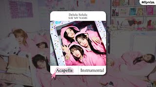 SAY MY NAME - Delulu Solulu (Acapella)