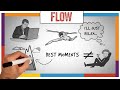 Flow Summary &amp; Review (Mihaly Csikszentmihalyi) - ANIMATED