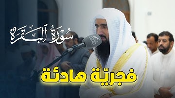 بخشوع وآسر تلاوة هادئة | من صلاة الفجر بصوت الشيخ حمزة معاذ | 24-5-1446 هـ