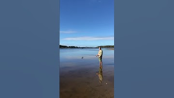 Catch and Release and Catch Again || ViralHog
