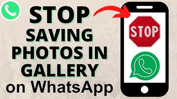 How to Stop WhatsApp from Saving Photos & Videos in Your Gallery