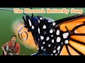 Monarch Butterfly Journey Quiz