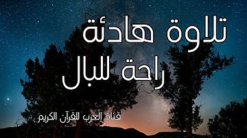 قران كريم راحة للقلب الا بذكر الله تطمئن القلوب قرائة هادئة