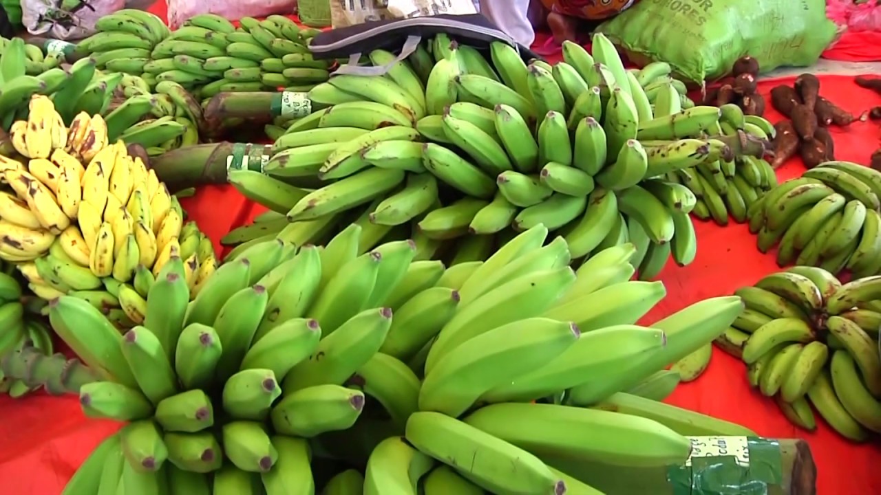 Foire agricole Dahari 2018