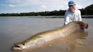 Download Lagu Jako Lucas - Arapaima Fishing With Capt. Jack Productions Download Lagu Jako Lucas - Arapaima Fishing With Capt. Jack Productions
