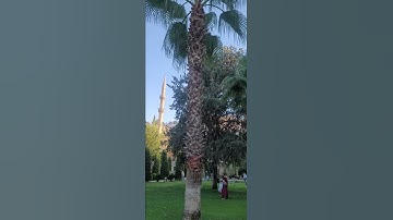 لا تنسوا أذكار الصباح والمساء فإنها حصن حصين من شياطين الإنس والجن