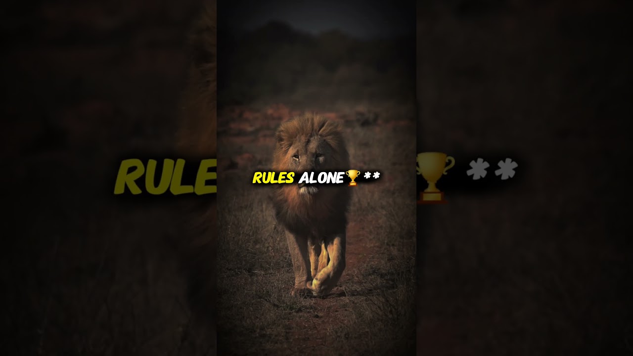 "Sigma vs Alpha Males... Who REALLY Wins in 2024? (SHOCKING TRUTH)⚔️🔥" 