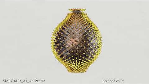 MARC6102 A1 490599802 PRARTHANA THIRUNARAYANAN