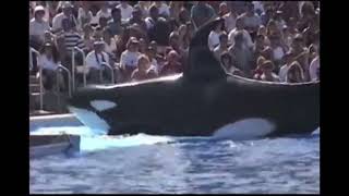 Ulises Bows And Slideout