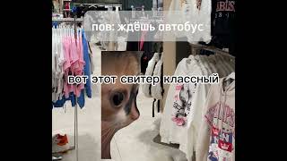 пов: ждёшь автобус | #реки #мем #кот #fyp