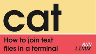 cat - How to join text in the Terminal [Linux Terminal for Beginners]