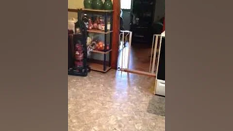 Vicki