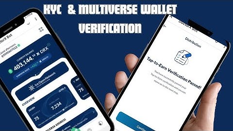 Doctor X Verification Solved: How to Connect Your Multiverse Wallet Fast”
