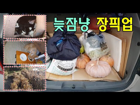 [귀촌귀농] 모장픽업,콩뒤집기,만두