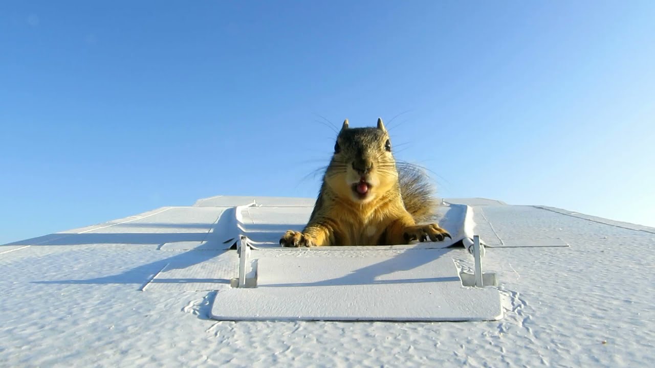 My name is Giovanni Giorgio, but everybody calls me Giorgio