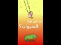 حيوانات اطفال ضب    