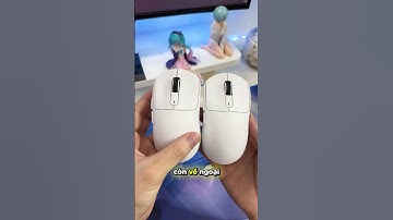 ATTACK SHARK X3 MAX Có gì ? 800 cành cho Paw3950