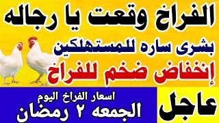 اسعار الفراخ البيضاء اليوم/ سعر الفراخ البيضاء اليوم الجمعه 2023/3/24 في مصر