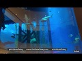 Dubai Aquarium July 2018