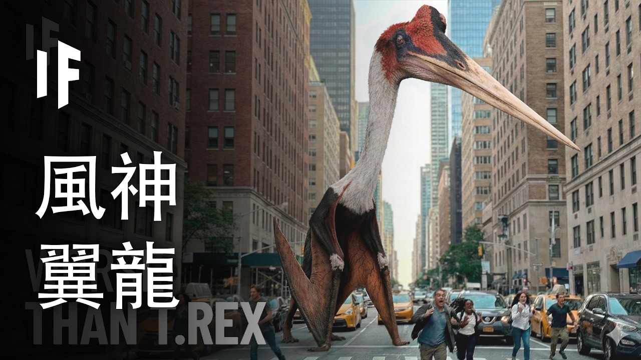 如果風神翼龍從未滅絕，會怎樣？【中文字幕】｜大膽科學
