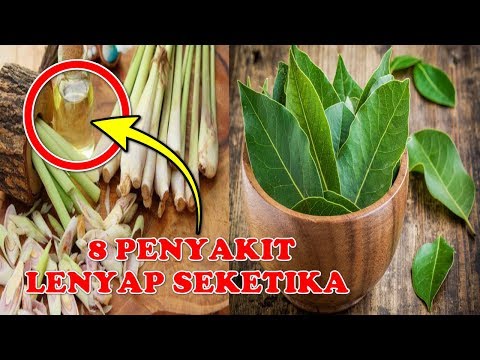 TAK DIRAGUKAN LAGI Inilah KHASIAT LUAR BIASA Daun SALAM dan SEREH Yang Tak Banyak Orang Tau