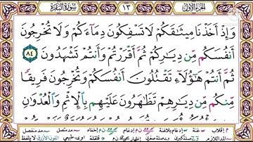 #سورة البقرة#الصفحة 13#أيمن السويد#
