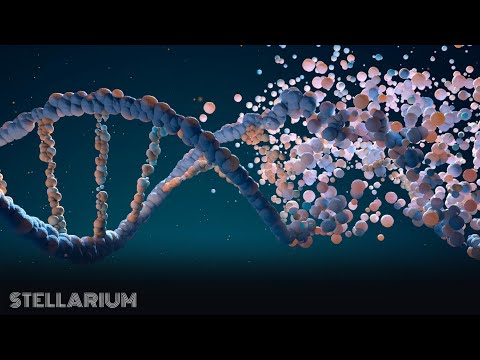 Video: Circularea Celulelor Tumorale și ADN-ul Ca Biopsii Lichide