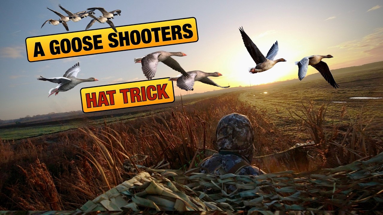 Охота на гусей!!! Хет-трик охотника на гусей
