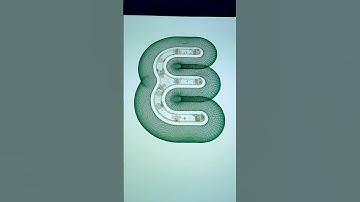 The Perfect E with Intricate Elegance #spirographshr #satisfying #spirograph #usa #art #asmr #shorts