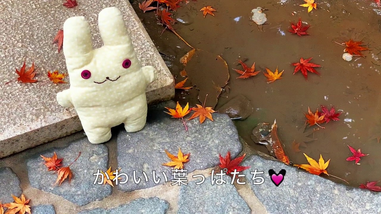 シマシマのちび猫のぬいぐるみ「ふにゃ〜た」 - ぬい撮りウサギの妖精