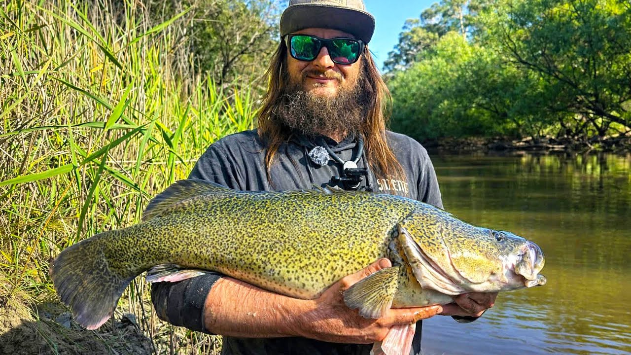 В Мельбурне обнаружена самая крупная рыба в Австралии.