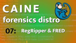 CAINE - 07 - Windows Registry analysis with RegRipper and Fred screenshot 4