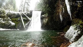 Virtual Hike Forest Snow Rim Trail At Silver Falls State Park Or