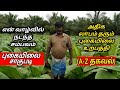 புகையிலை சாகுபடி | pugaiyilai sagupadi in tamil | tobacco cultivation in tamil | Nicotiana tabacum