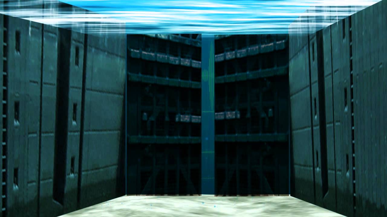 Manatee Protection System