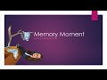 Understanding Memory Moments
