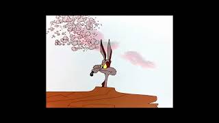 Wile E. Coyote Fails