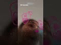 Niña de 13 años se graba durante ataque israelí en Beirut