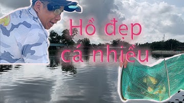 Câu Cá Vip || Hồ Câu Cá Giải Trí Hoàng Hải - Cá ăn như ăn trộm, vừa tìm được cách câu thì phải về