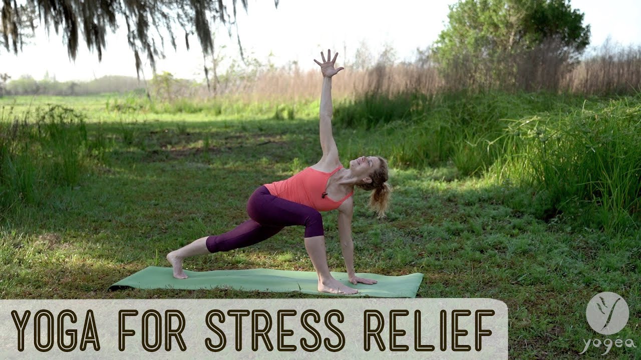 Yoga for Stress Relief (open level)