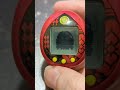 とうらぶっち 蜂須賀虎徹 (顕現+手合せ+日常風景15:30+極) (レシピ記録)
