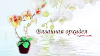 Орхидея крючком. Вязанные цветы Орхидея крючком. Вязанные цветы