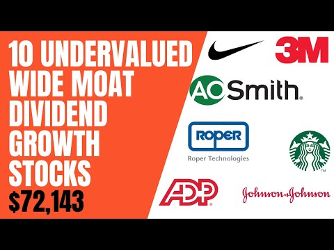 Undervalued Wide Moat