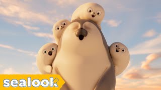 Baby Seals’ Hotspot🔥 | Sealook | Ep.110