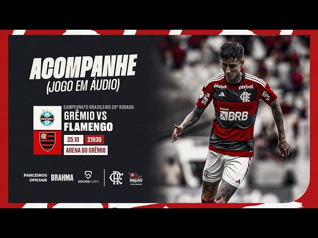 Campeonato Brasileiro  Grêmio x Flamengo - PRÉ E PÓS-JOGO EXCLUSIVO FLATV  