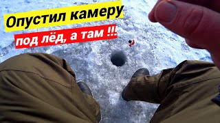 Зимняя рыбалка в Донбассе !!!  Георгиевка нас удивила !!!