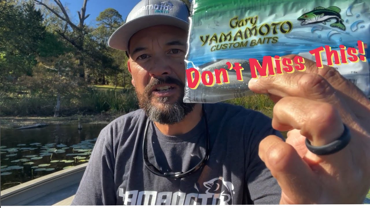 Don’t Miss this Fall Bait Choice! | #bassfishing #bass #softplastics
