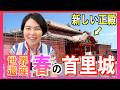 【2026年4月の首里城】ここまで変わった！正殿が見やすい見学デッキと復元の様子を紹介します！