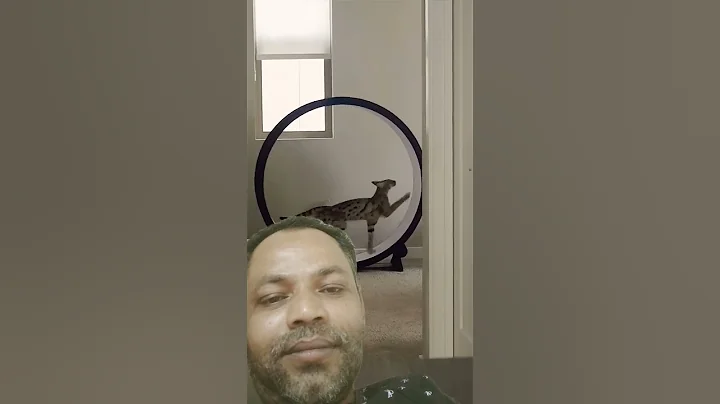 Watch the video about #f1 savannah #viral #foryou