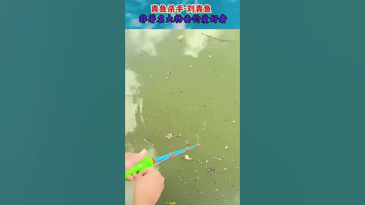 用玩具竿釣魚，不會釣和會釣魚的都沉默了 - 天天要聞